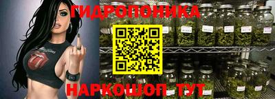 PSILOCYBIN Новодвинск