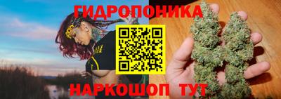 PSILOCYBIN Новодвинск