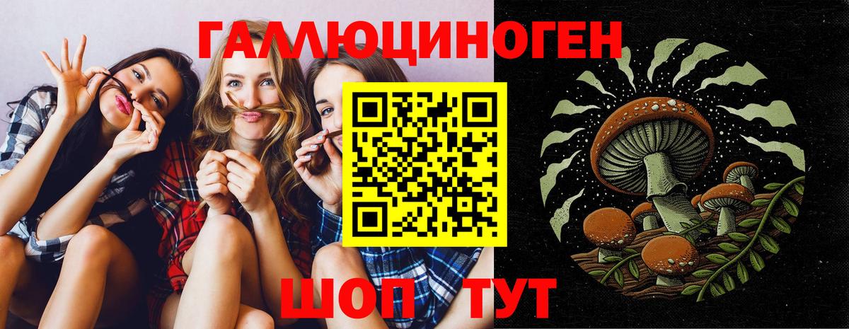 Галлюциногенные грибы прущие грибы  Галлюциногенные грибы прущие грибы  Вход с VPN  где купить наркоту  Усть-Джегута 