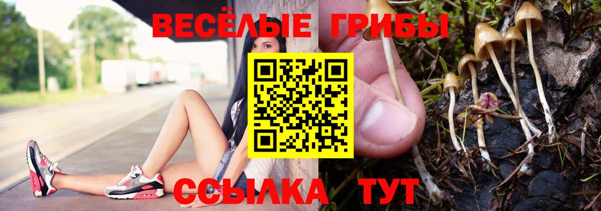 Псилоцибиновые грибы мицелий Усть-Джегута